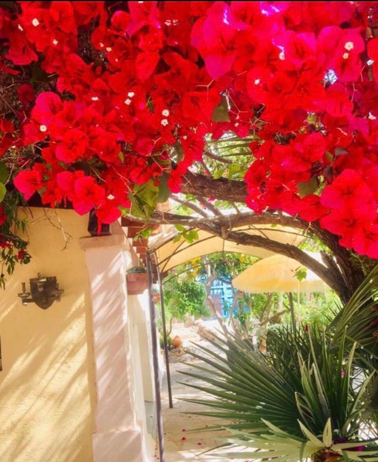 Casita Limon Andratx Villa Bagian luar foto
