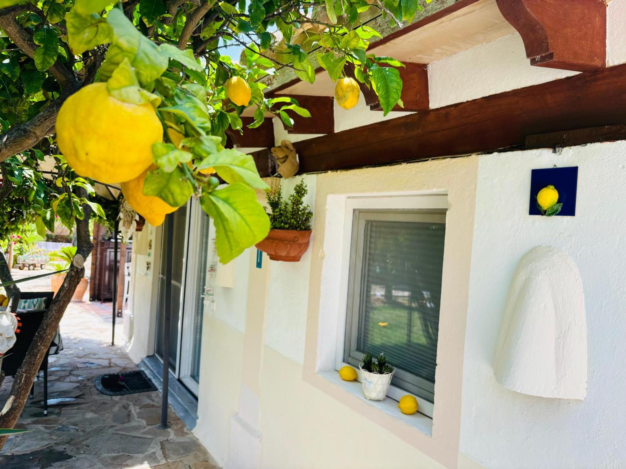 Casita Limon Andratx Villa Bagian luar foto