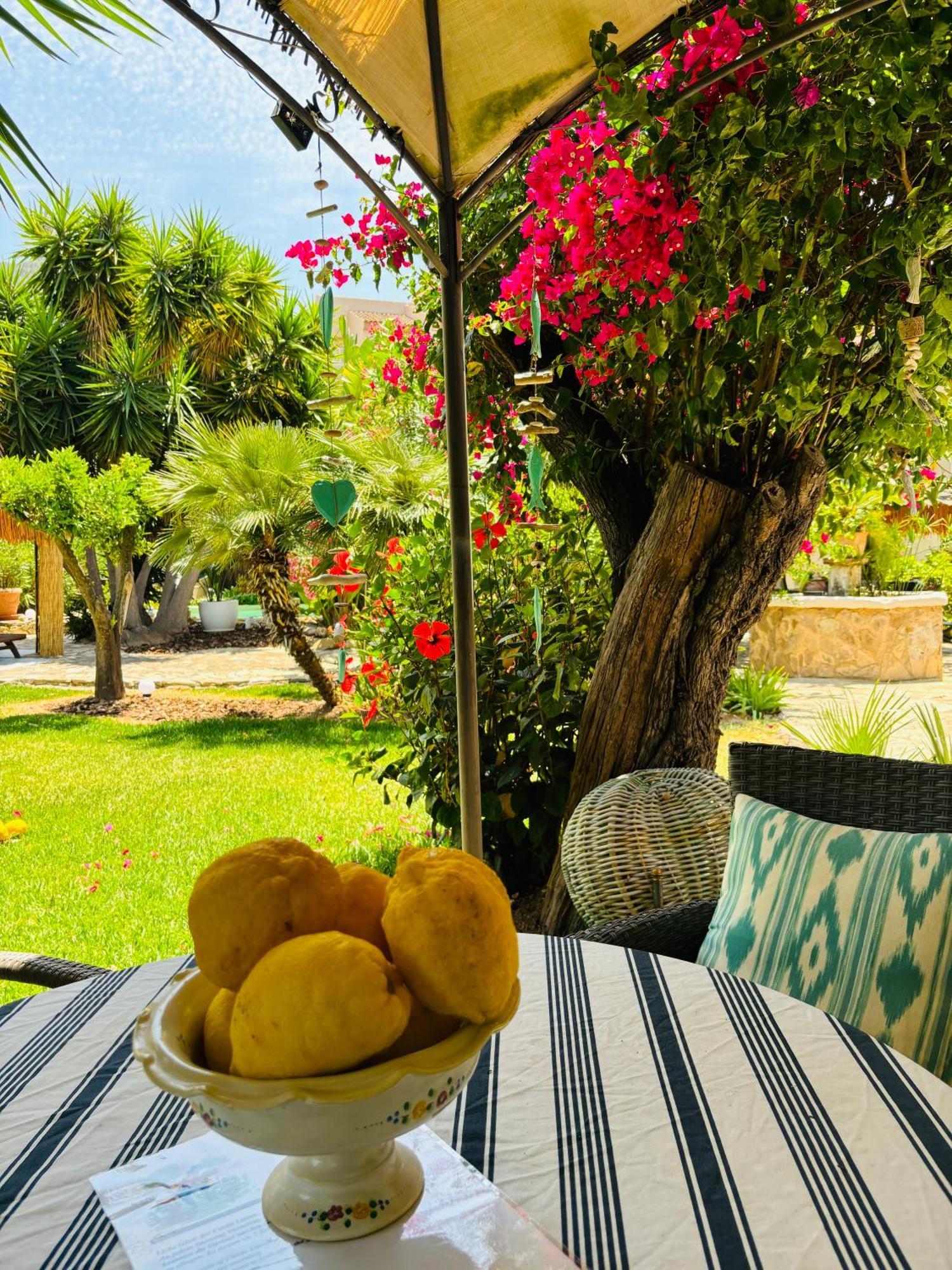 Casita Limon Andratx Villa Bagian luar foto