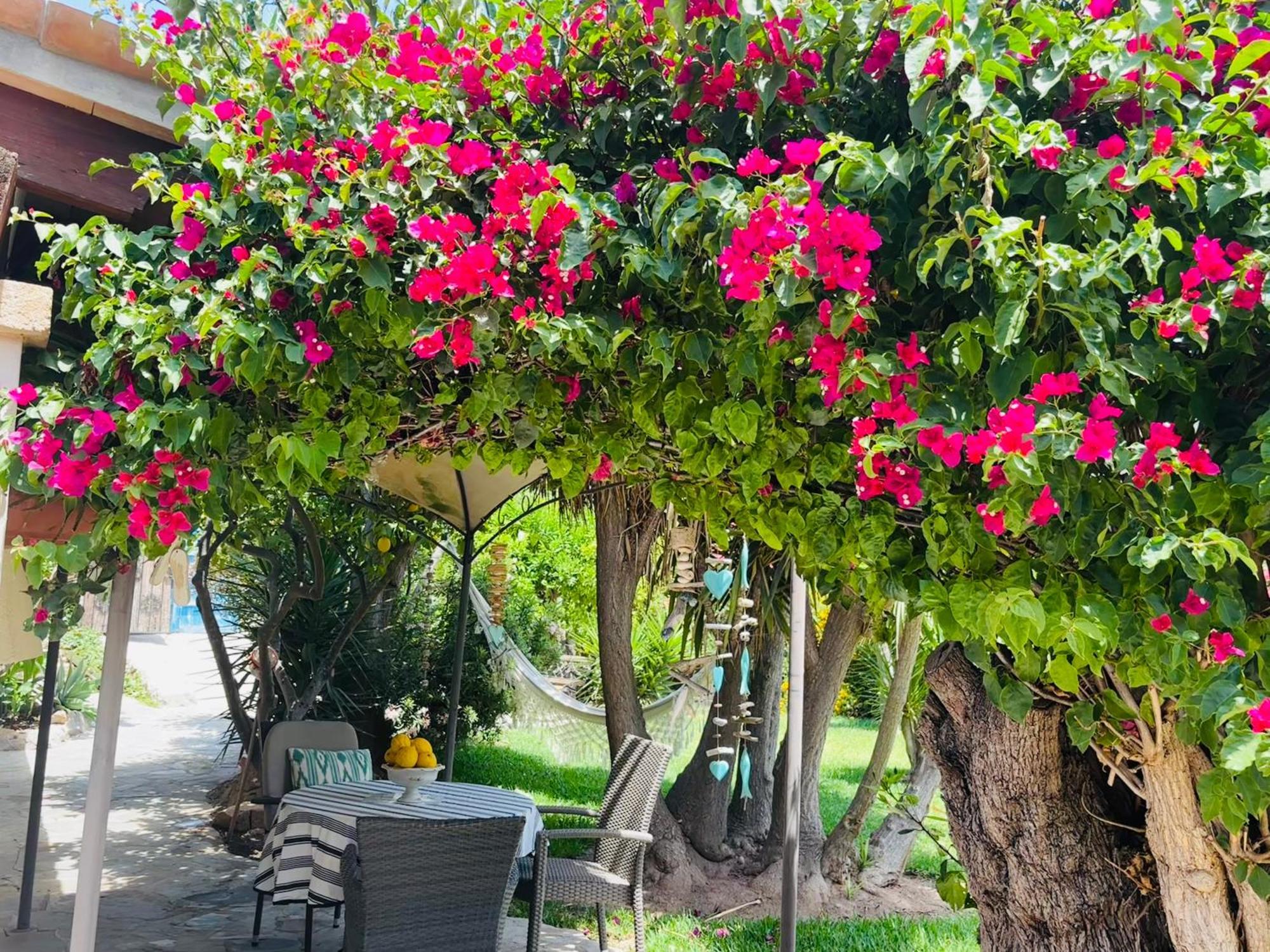 Casita Limon Andratx Villa Bagian luar foto